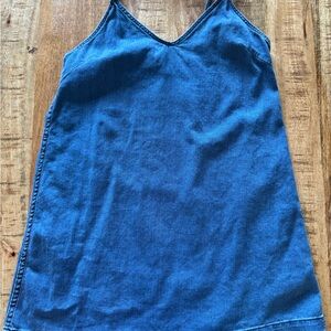 Wilfred Denim Dress